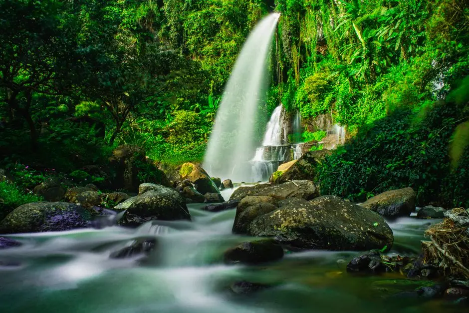 Harga Tiket Masuk Curug Tersembunyi di Sekitar Bogor, Lengkap 2026